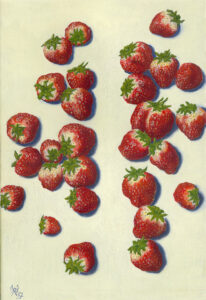 Öl auf Leinwand · 45 × 30 cm · 290 € Fragaria II
